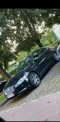 Jaguar XF cena 32500 przebieg: 240000, rok produkcji 2008 z Płock małe 56